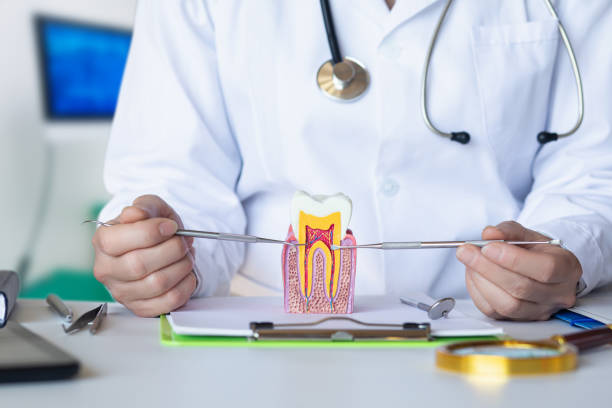 Best Emergency Broken Tooth Repair in Loveland, OH